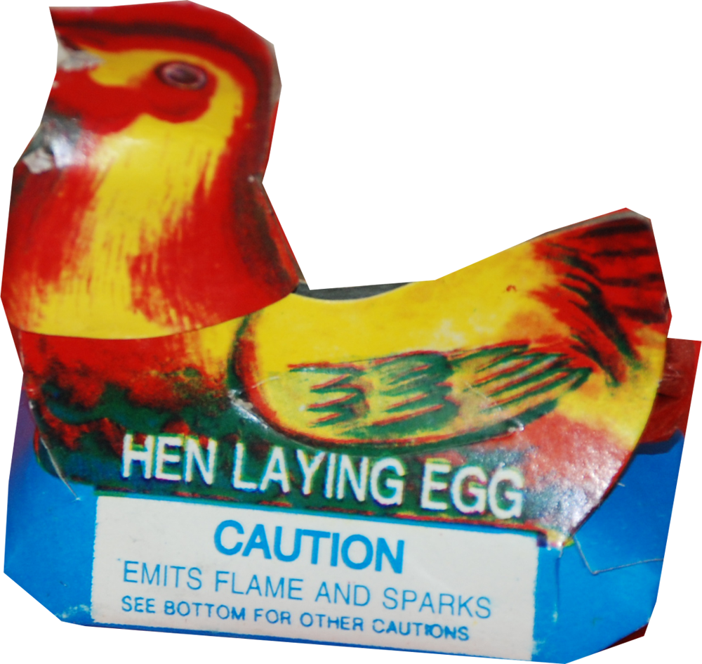 Hen Laying Eggs 